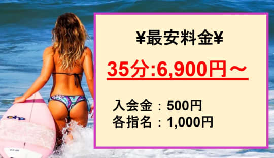 【PLATINA R-30】の料金