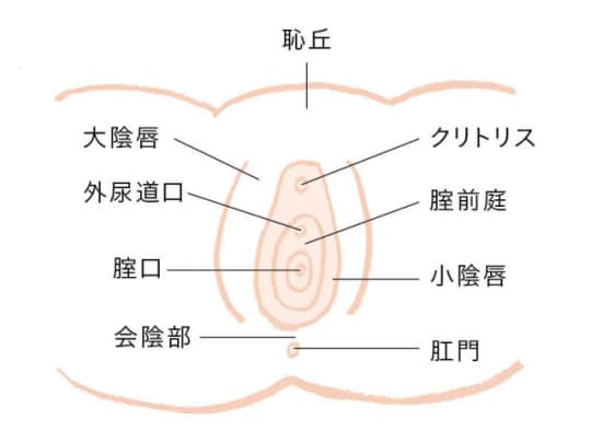 クリトリス　位置
