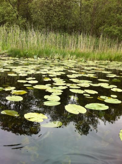 イギリス湖水地方