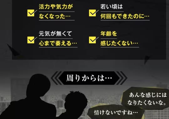 公式通販サイトの画像