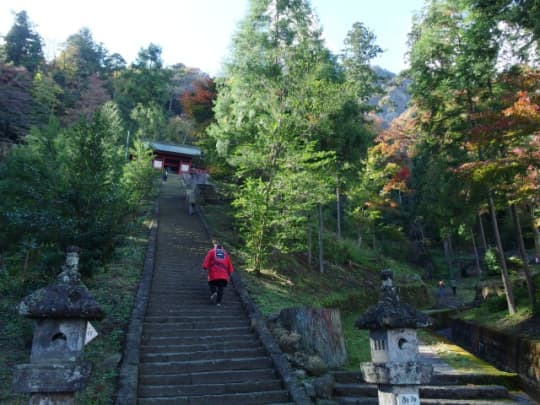 妙義神社　参道