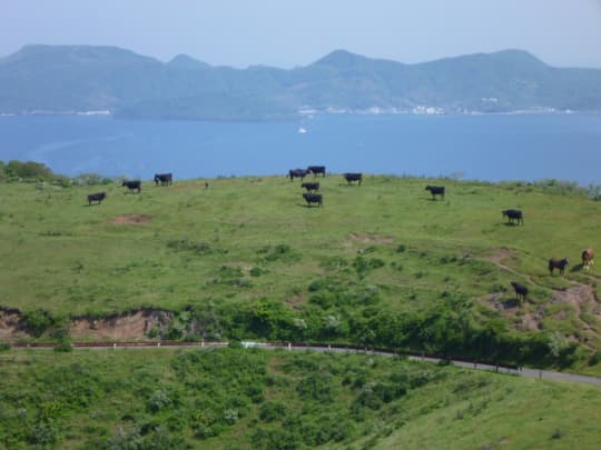 途中で足を止めても良い写真が撮れます