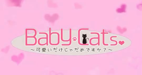 Baby Cats（ベイビーキャッツ）