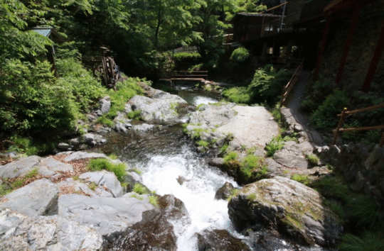 テントサウナ 中茶屋キャンプ場