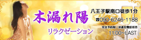 木漏れ日 八王子