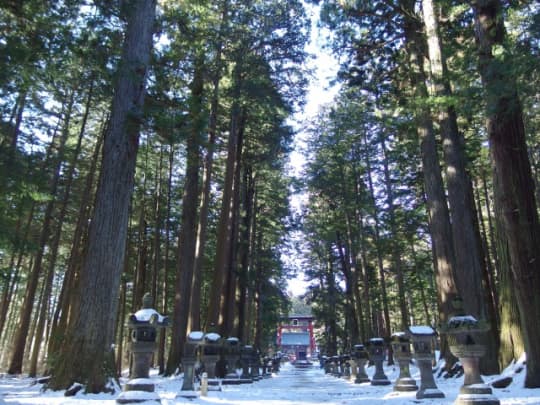 北口本宮冨士浅間神社　冬の参道