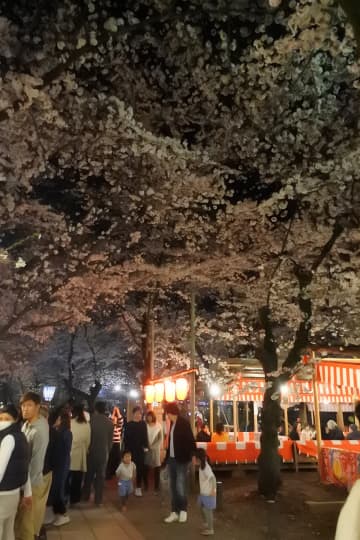 桜茶屋に集う人々