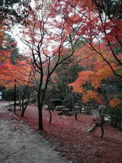 奥紅葉谷公園