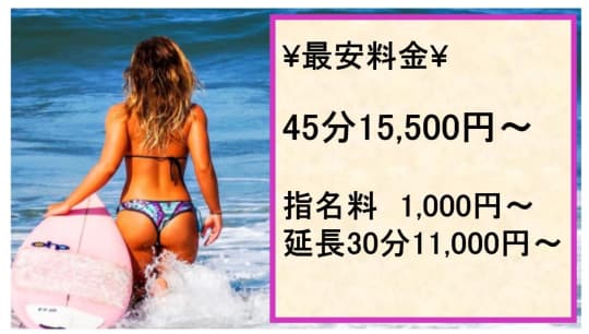 Mintの料金表