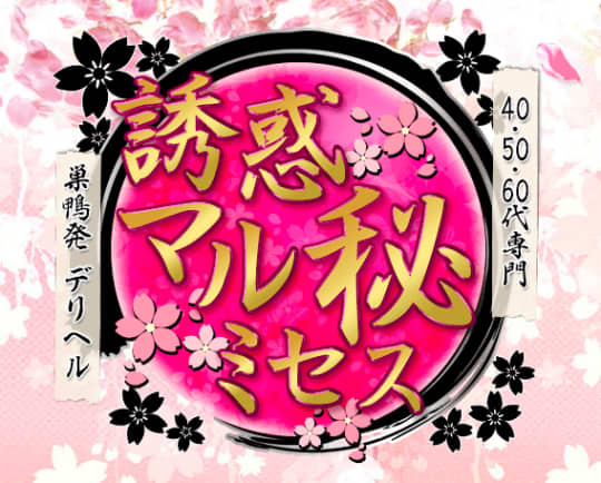表画像