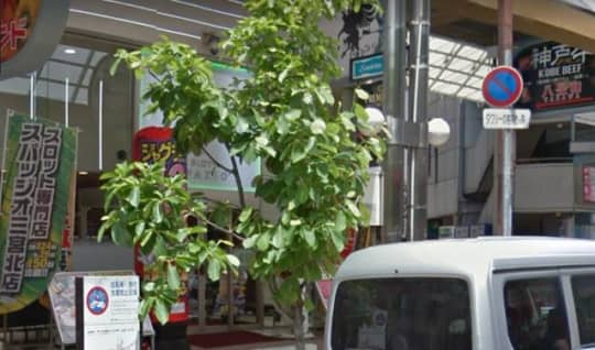 学校でゴーゴー三宮店