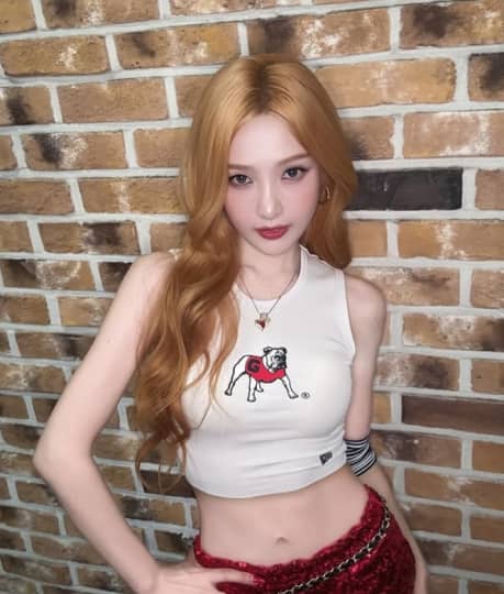 Red Velvet(レッドベルベット) 流出