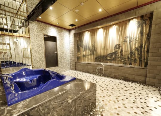 豪華な設備と特別な体験！高級ソープの楽しみ方