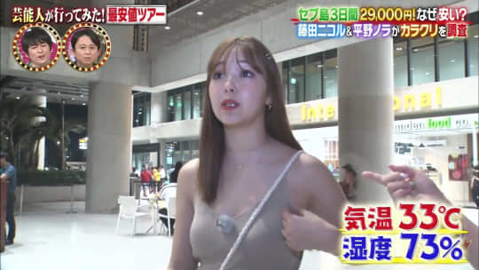 藤田ニコル エロ