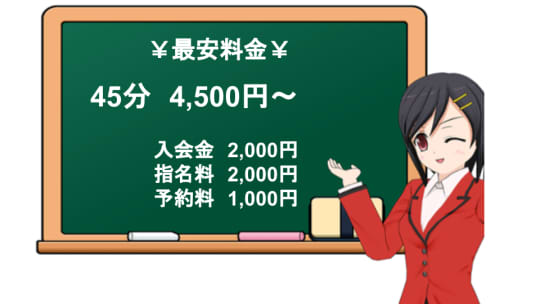 秘書コレクションの料金表