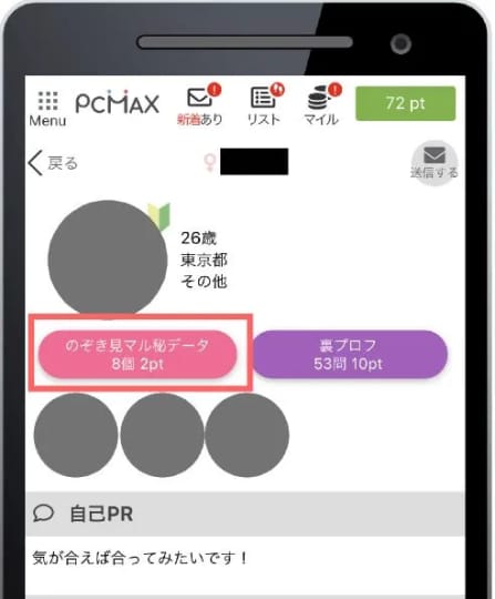 のぞき見マル秘データ
