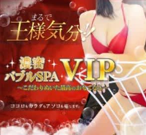 濃密バブルSPA VIP