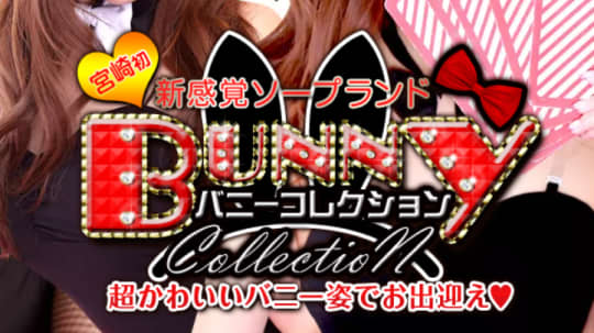 https://www.bunnycolle.com/