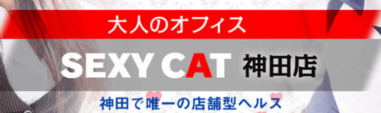 セクシーキャット