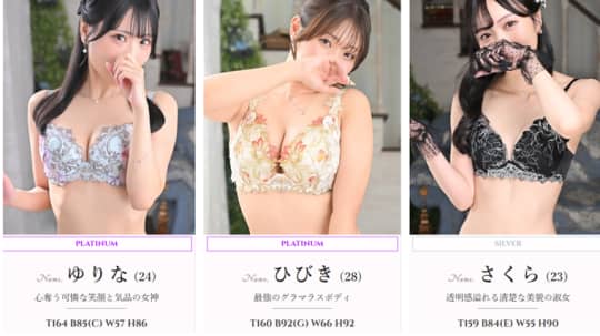 紳士の嗜みの在籍一覧画像