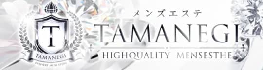 TAMANEGI（タマネギ）