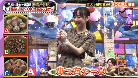 芦田愛菜　おっぱい
