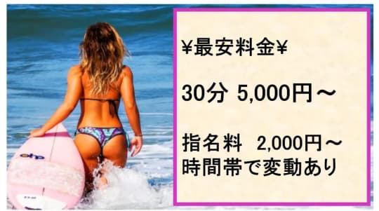 ハッピーメイトの料金表