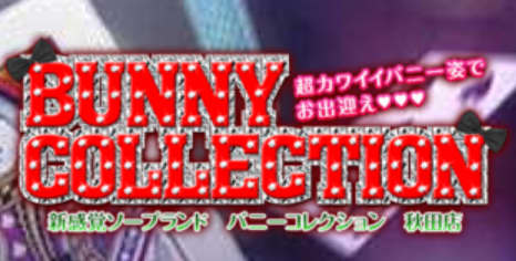 バニーコレクション