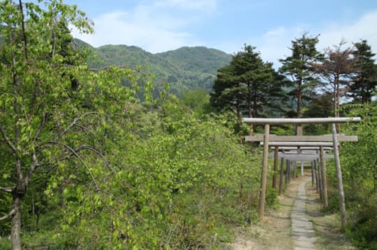 湯神社　鳥居