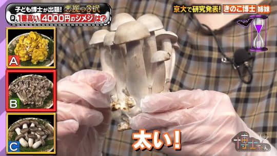 芦田愛菜　おっぱい