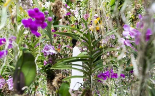 花と我と同根、庭と我と一体