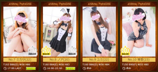 アニマルパラダイスの在籍一覧画像