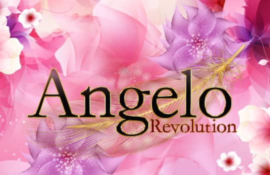 Angelo Revolution