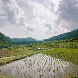 おじろく・おばさ