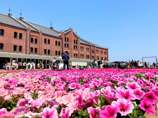 横浜の画像