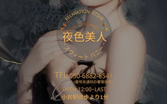 夜色美人