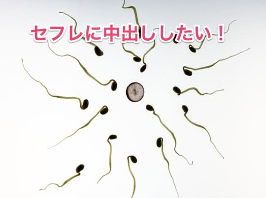 セフレ　中出し