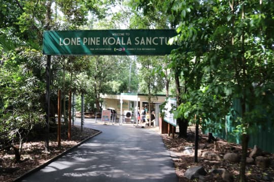 Lone Pine Koala Sanctuary