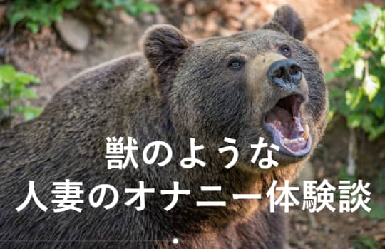 クマ