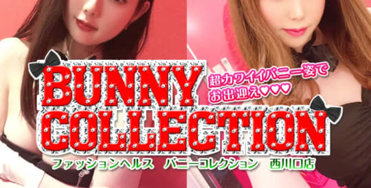 バニーコレクション