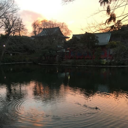 井の頭弁財天の夕景