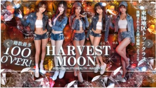 HARVESTMOON(ハーベストムーン)