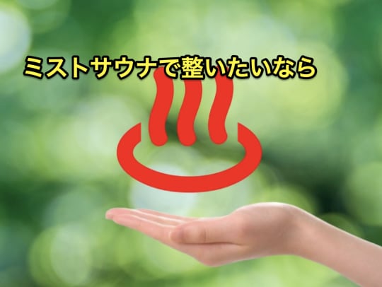 ミストサウナ　入り方　整わない