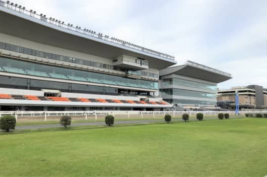 川崎競馬場の芝生広場