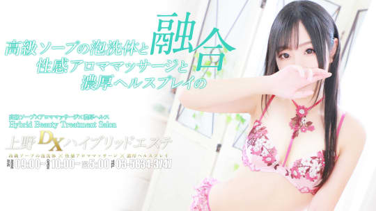 上野DXハイブリッドエステ