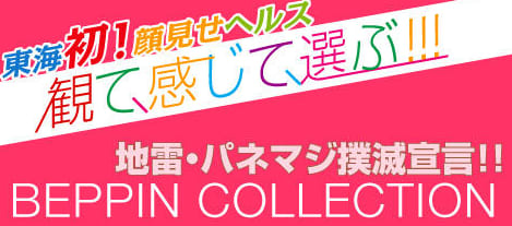 べっぴんコレクションのHP画像