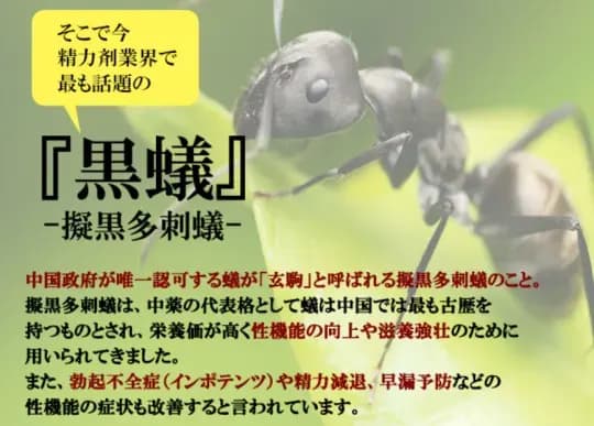精力剤の画像