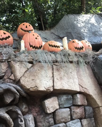 東京ディズニーランド　ハロウィン