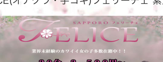 http://www.sapporofelice.com/