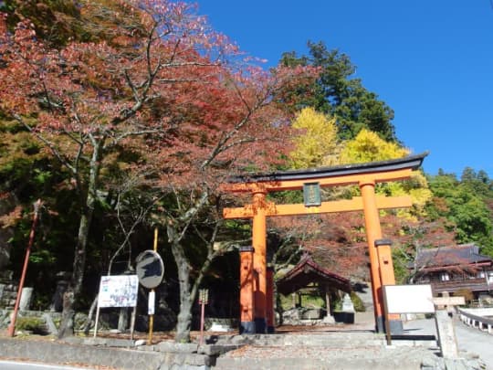 金櫻神社　鳥居